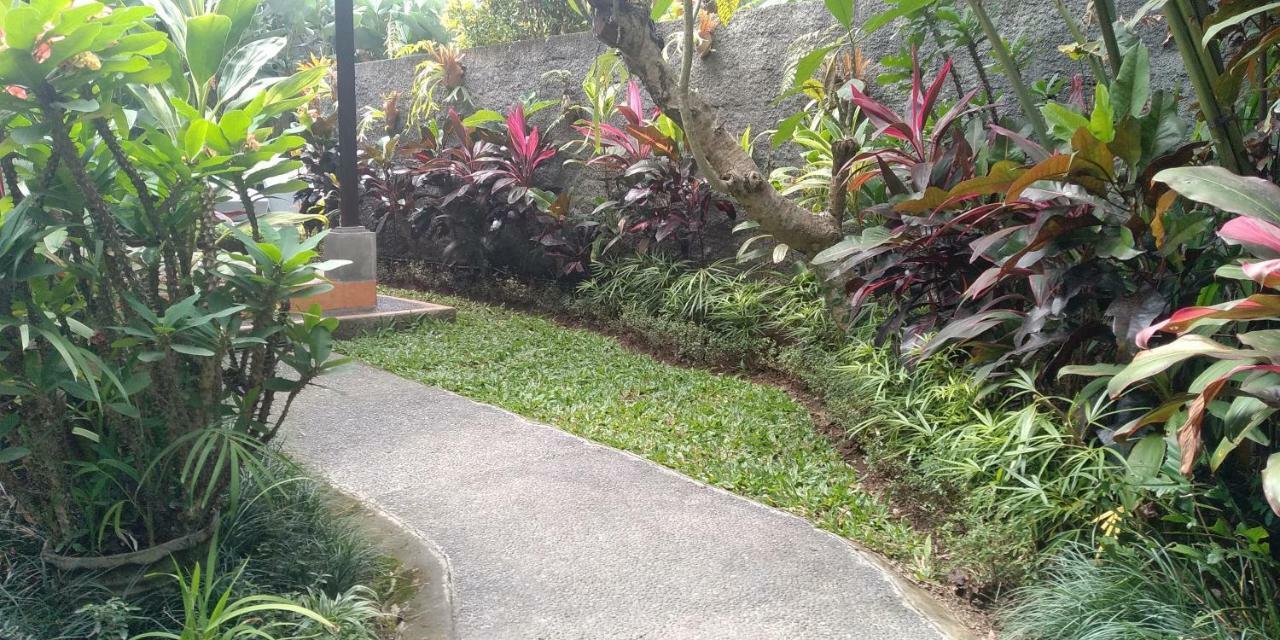 Dedik House * Ubud